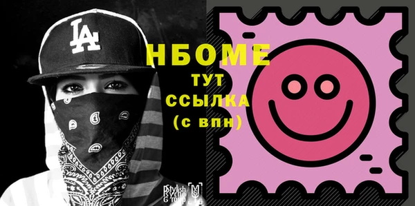 соль ск Няндома