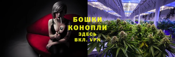 гидропоника Нязепетровск