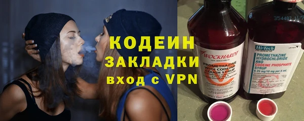 соль ск Няндома