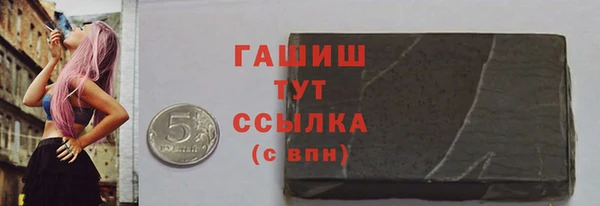 соль ск Няндома