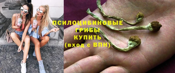 гидропоника Нязепетровск