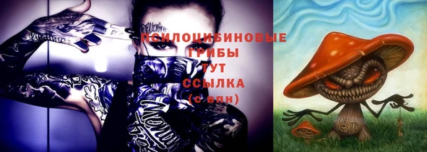 соль ск Няндома