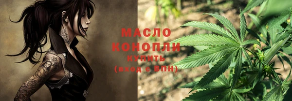 соль ск Няндома