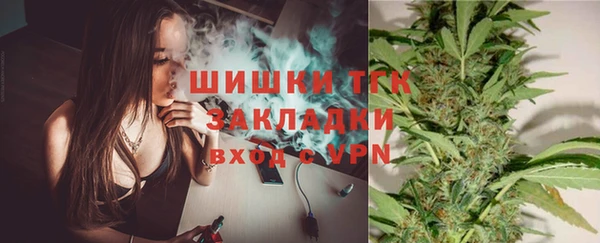 гидропоника Нязепетровск